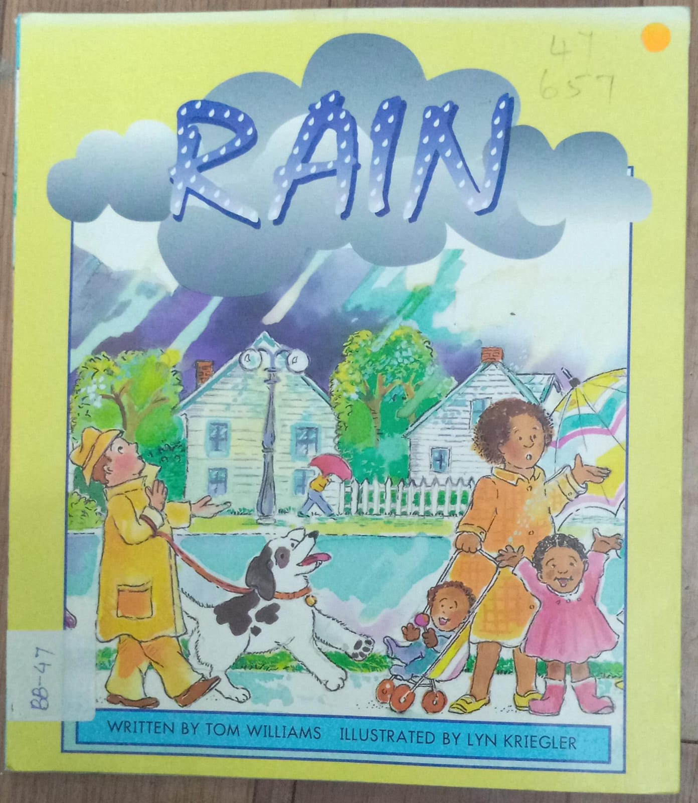 RAIN