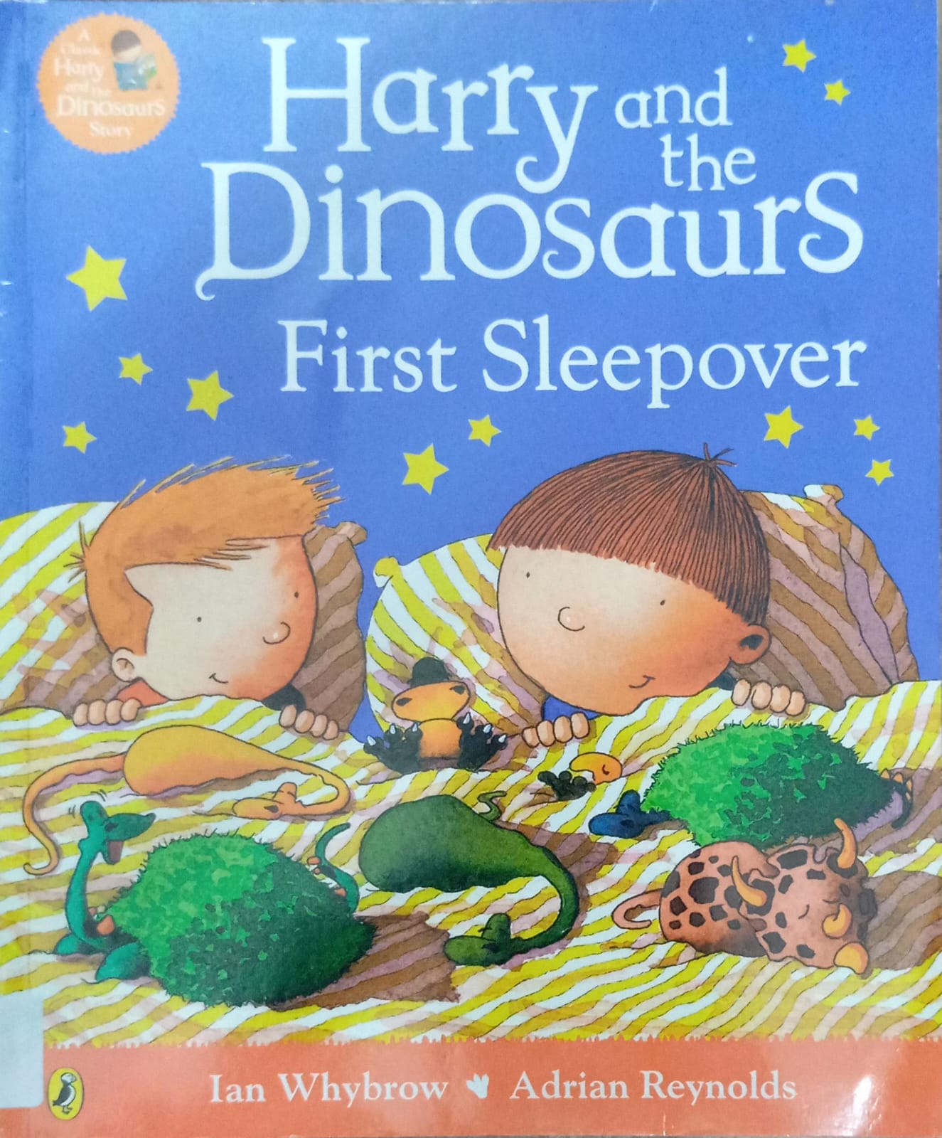 HARRY AND THE DINOSAURS - FIRST SLEEPOVER