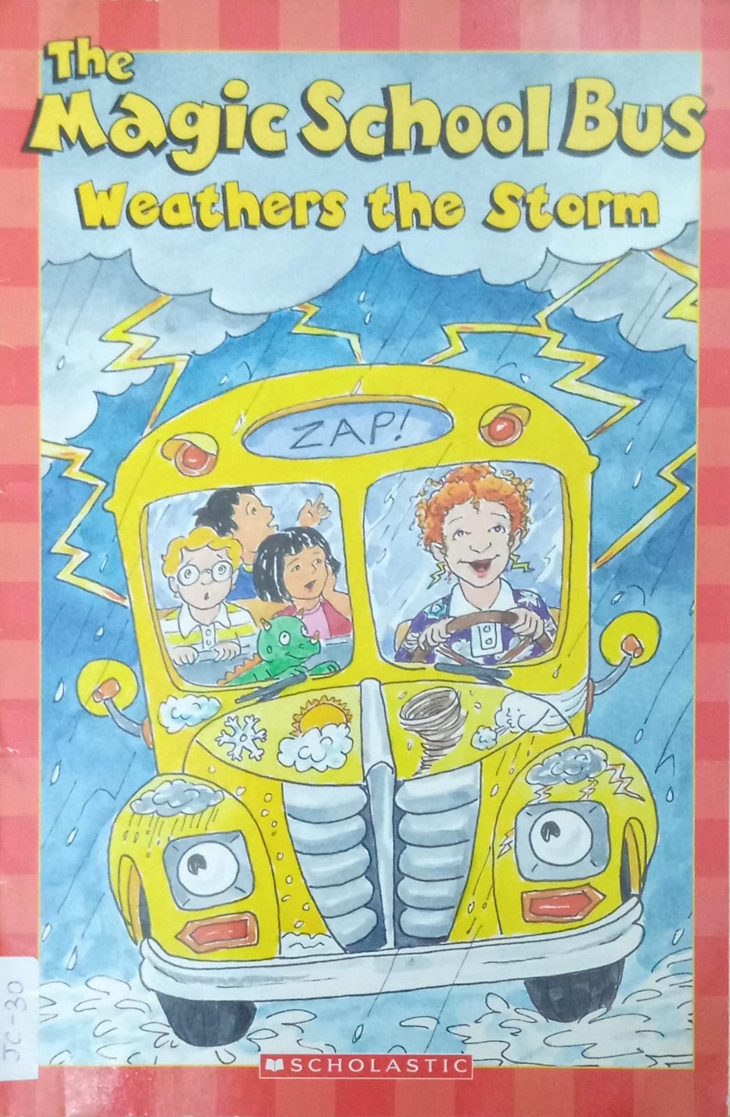 THE MAGIC SCHOOL BUS WEATHERS THE STORM